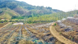 LẮP ĐẶT HỆ THỐNG TƯỚI PHUN MƯA TẠI TỈNH ĐẮK LẮK LẮP ĐẶT HỆ THỐNG TƯỚI PHUN MƯA TẠI TỈNH ĐẮK LẮK