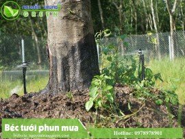 MUA BÉC TƯỚI PHUN MƯA Ở ĐÂU TỐT NHẤT TÂY NINH? MUA BÉC TƯỚI PHUN MƯA Ở ĐÂU TỐT NHẤT TÂY NINH?
